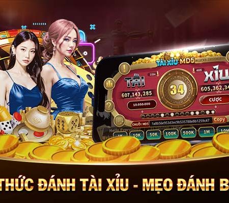 Zini Club-Dễ dàng trải nghiệm với app Android／IOS!