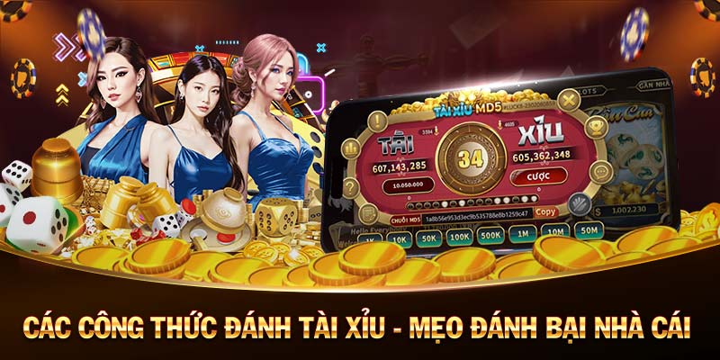 Zini Club-Dễ dàng trải nghiệm với app Android／IOS!